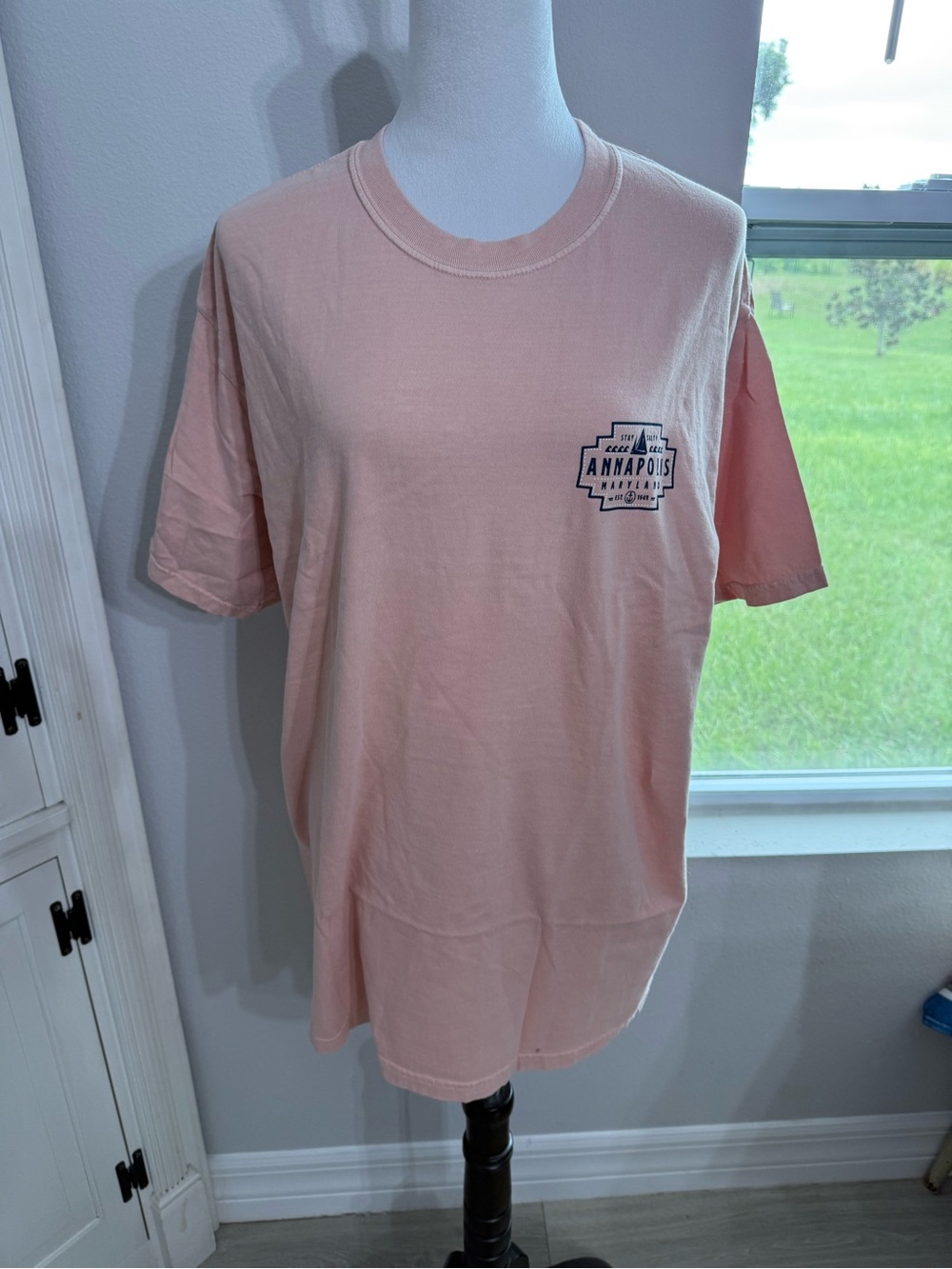 Comfort Colors Light Pink Annapolis Graphic Short Sleeve Tee